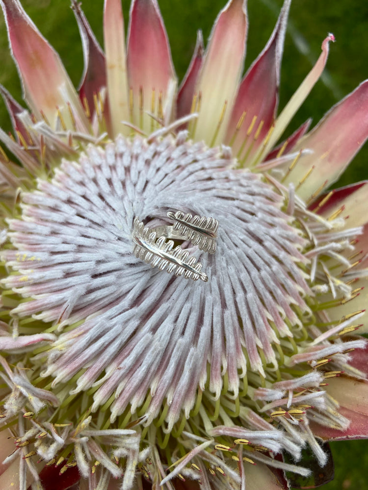 Kupukupu Ring